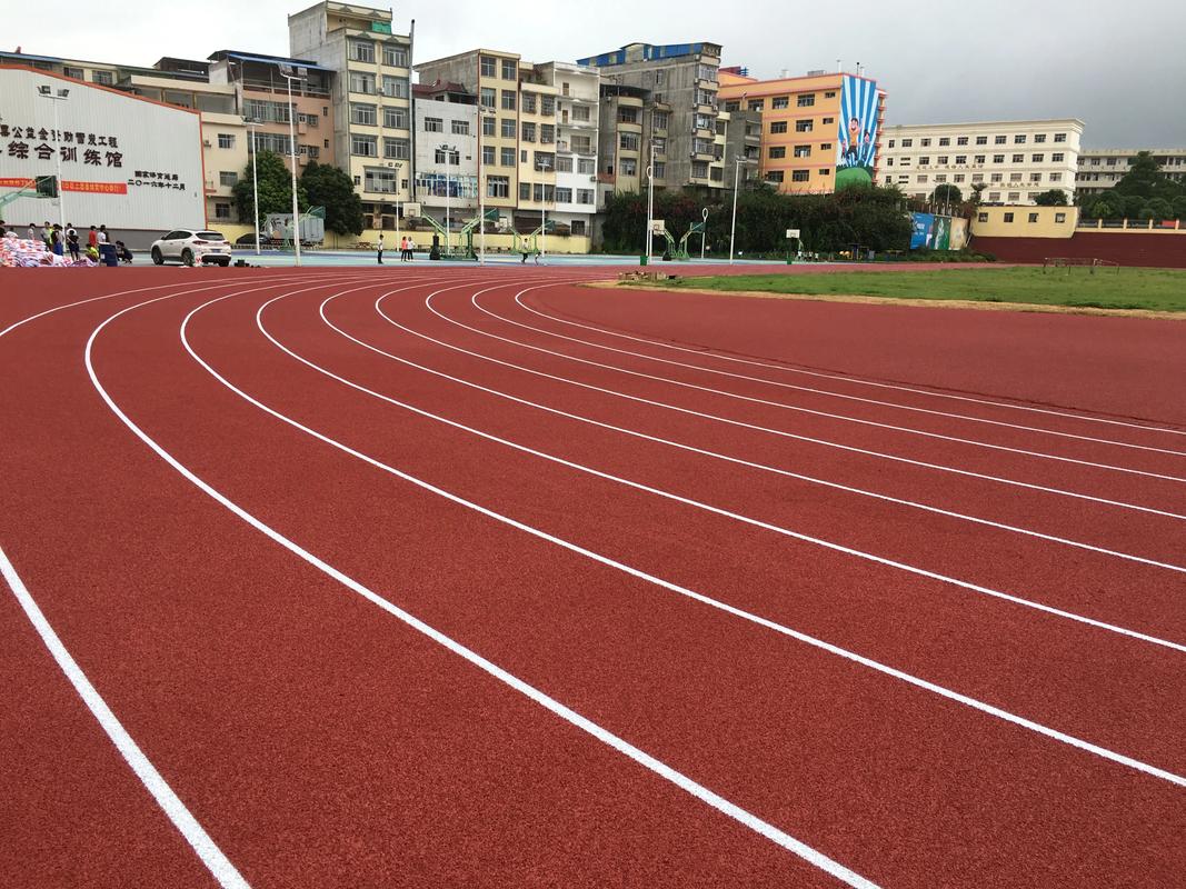 澄迈县学校塑胶跑道塑胶跑道材料 - 方案